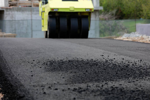 Best Driveway Repair Near Me  in Platteville, CO